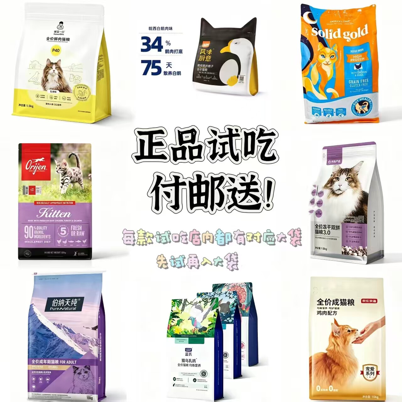 wowo幼猫全期试吃体验装图片