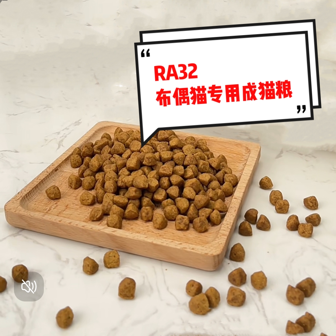皇j厂家控价!RA32布偶全价成猫粮健康皮肤被毛亮泽呵护2kg4.5kg