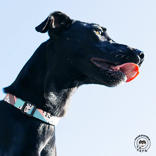 严选狗狗狗项圈大中小型犬马达