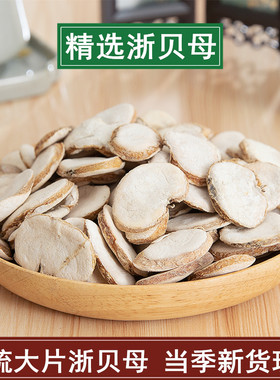 浙贝母片500克包邮中药材
