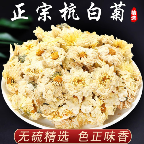 正宗杭白菊花茶清热胎菊