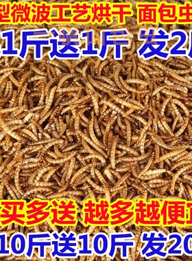 山东厂家微波工艺烘干面包虫干黄粉虫干高蛋白仓鼠鱼鸟零食饲料