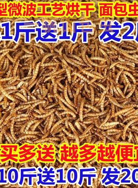面包虫干批发便宜实惠仓鼠粮食