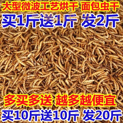 面包虫干批发便宜实惠仓鼠粮食