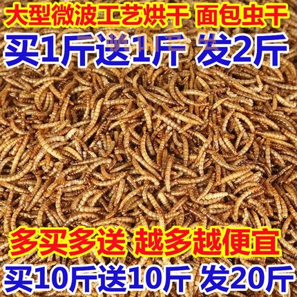 山东厂家微波工艺烘干面包虫干黄粉虫干高蛋白仓鼠鱼鸟零食饲料