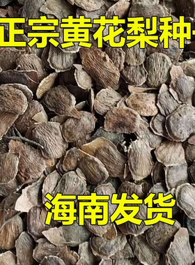 正宗海南黄花梨鲜紫油梨种海南发