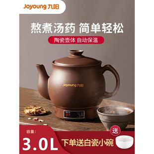 煎药壶一体式电煎壶家用熬药专用电砂锅药罐养生壶药膳煲