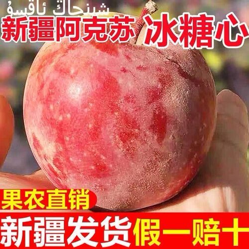 正宗新疆阿克苏冰糖心苹果原产地