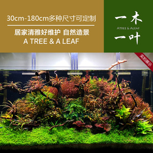 草缸造景 自然造景套餐 造景沉木 杜鹃根 草缸一木一叶 栖根