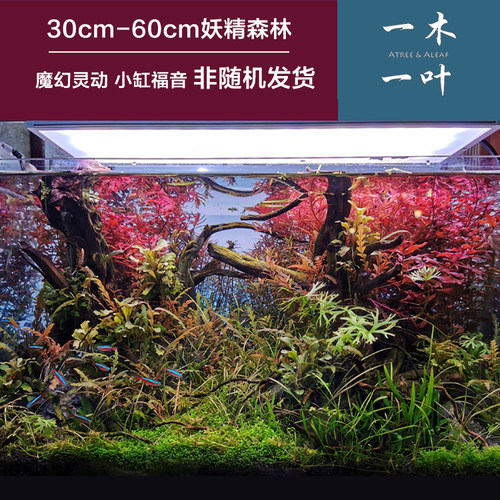 沉木包邮 造景沉木 草缸造景 杜鹃根 草缸  一木一叶原创妖精森林 - 封面