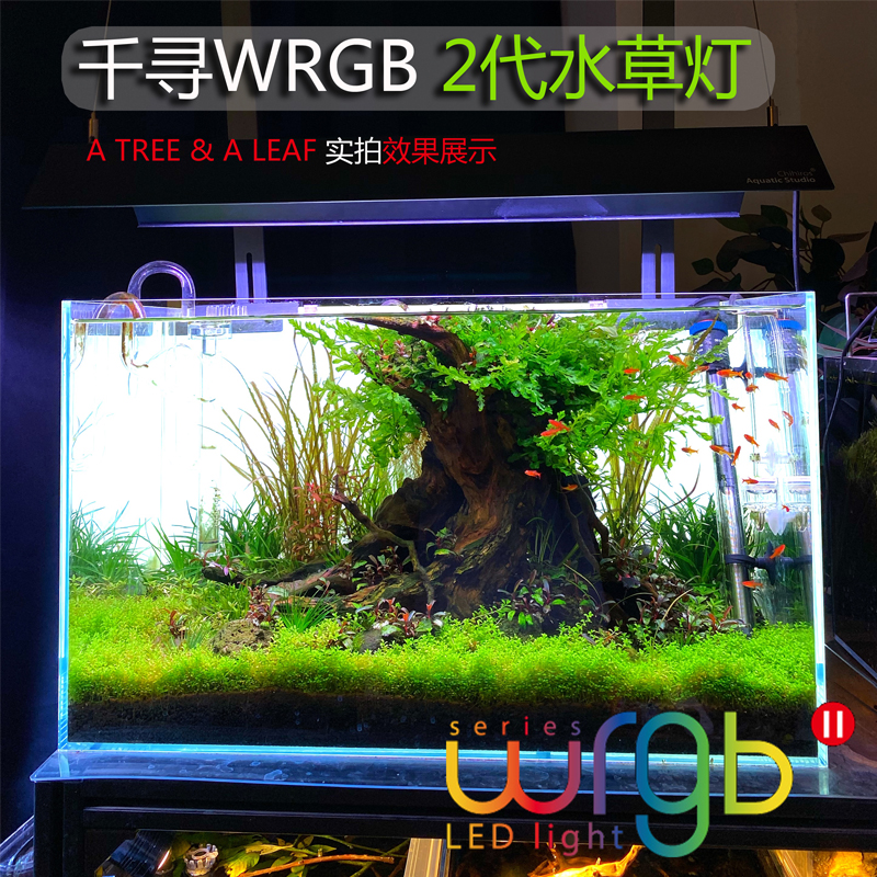 日出日落水草灯品牌精品汇聚 价格大全移动版 最宠网