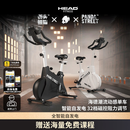 HEAD海德动感单车家用健身健身自行车器材mini小型室内运动脚踏车