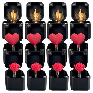 Funny Prank Gift Middle Finger Novelty for Valentines Day,Bi