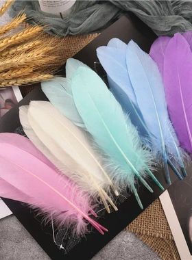 Wholesale 15-20cm Hard Stick Goose Feathers Natural Swan Plu