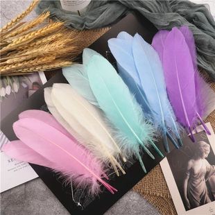 Hard Stick Swan Plu Natural 20cm Feathers Wholesale Goose