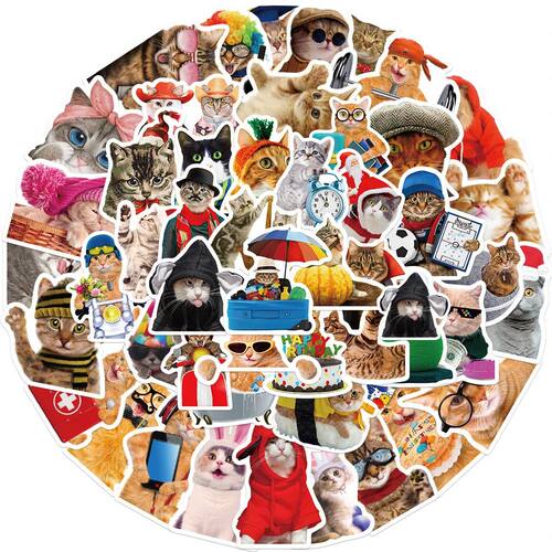 10/30/50pcs  Funny Animals Cat Meme Stickers Cute Cartoon De