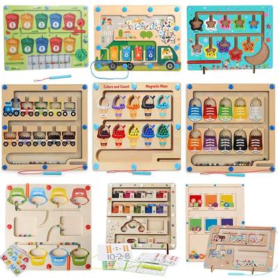 Magnetic Sorting Games Montessori Toys Maze Board Learning