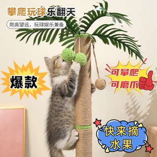 猫爬架猫树猫掏洞逗猫老鼠猫抓板剑麻猫抓柱猫磨爪不掉屑猫咪玩具