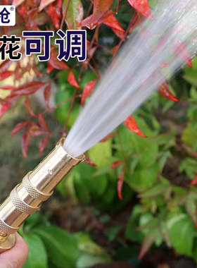 刚枪黄铜可调花洒喷头家用软管浇花神器洒水阳台浇花浇菜洗车水枪