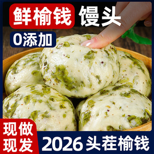 发面榆钱馒头纯手工2026新鲜榆钱杂粮馒头全麦花卷余钱粗粮早餐