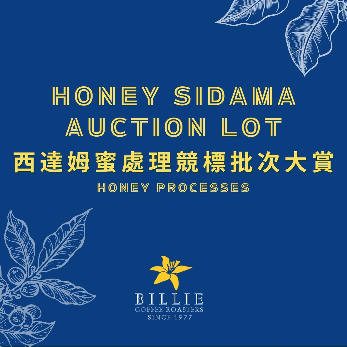 埃塞俄比亚竞标批此西达姆/耶加/也门/哈拉摩卡新产季闭眼入好喝