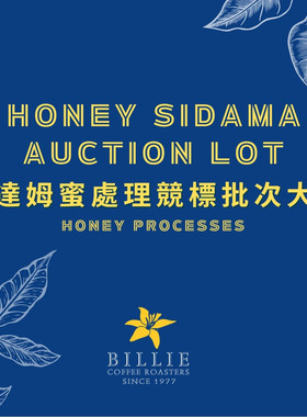 埃塞俄比亚竞标批此西达姆/耶加/也门/哈拉摩卡新产季闭眼入好喝