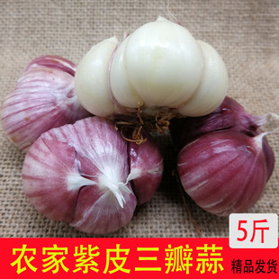 云南大蒜紫皮蒜三瓣蒜多瓣农家蒜土蒜干蒜红蒜5斤装三丫蒜5斤