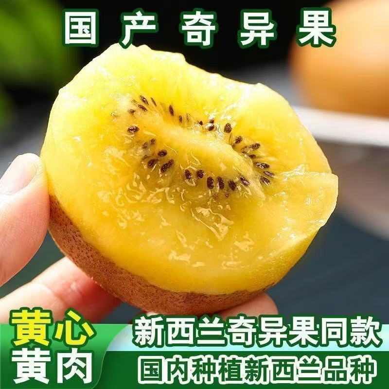 帆儿庄园黄心猕猴桃奇异果金桃金艳新鲜水果儿童孕妇弥泥猴包邮