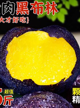 新鲜黑布林李子当季水果脆李黑金刚黄肉黑布李整箱