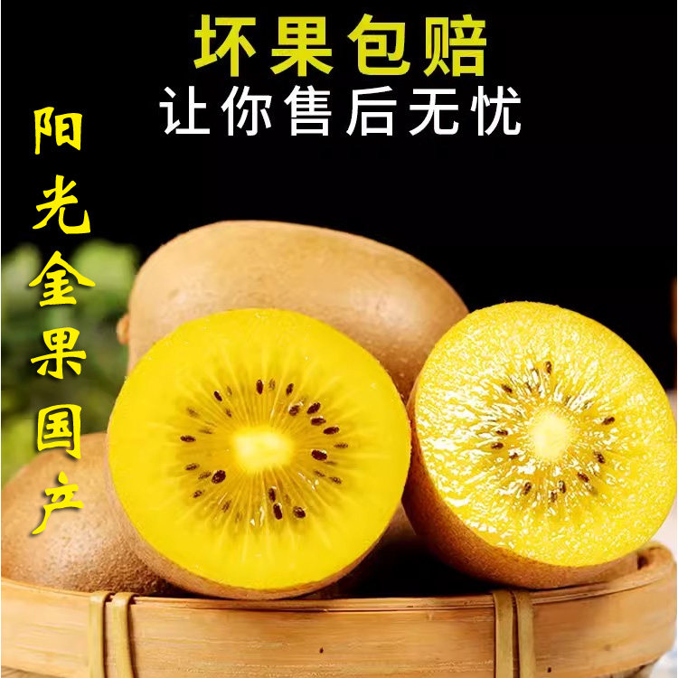 帆儿庄园黄心猕猴桃奇异果金桃金奇异果/猕猴桃