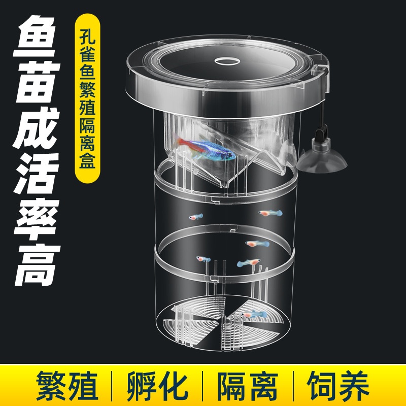 鱼缸孔雀鱼孵化器繁殖盒亚克力隔离盒热带鱼孵化产卵器鱼苗隔离盒