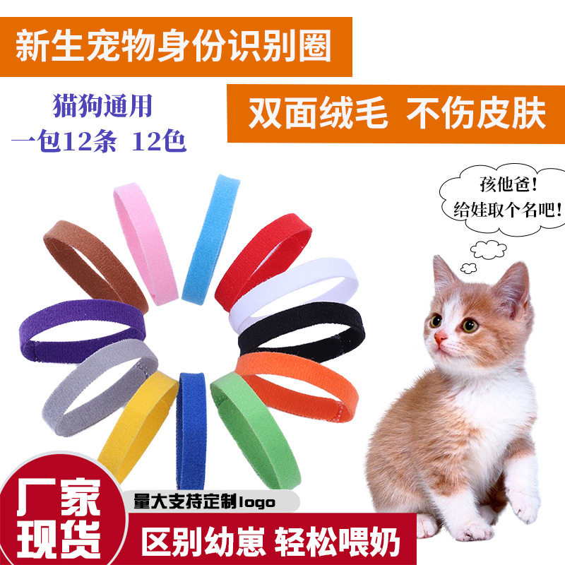 厂家现货新生宠物身份识别圈小猫小狗彩色项圈幼犬出生标记记号绳