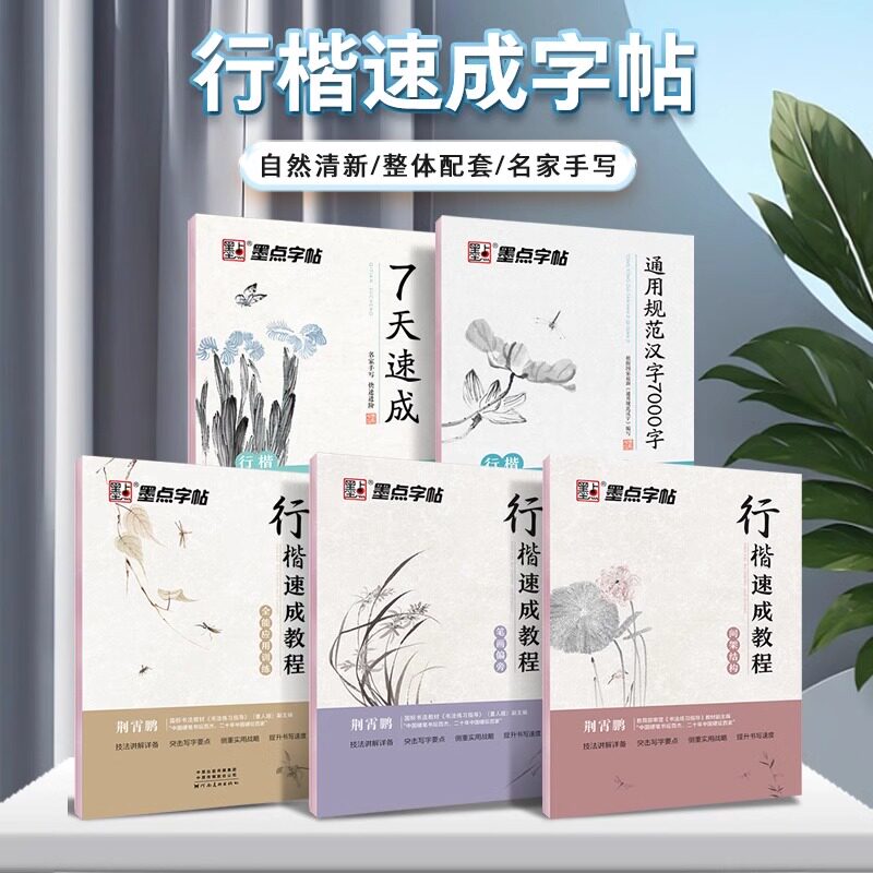 荆霄鹏行楷字帖成人练字墨点行楷速成教程公务员男生大气钢笔硬笔
