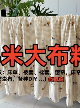清仓特价处理4米大块布料可DIY床单被套隔断布防尘布沙发罩小布料