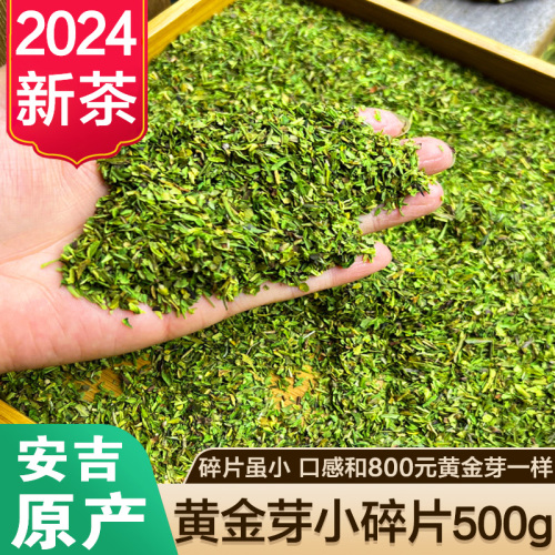 黄金芽小碎茶片2024新茶叶明前珍稀白茶嫩芽安吉绿茶高碎散装500g