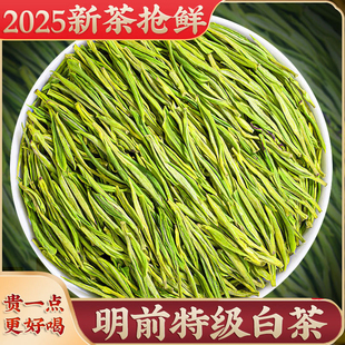 珍稀白茶2025新茶春茶明前绿茶散装浙江茶农正宗嫩芽绿茶茶叶250g