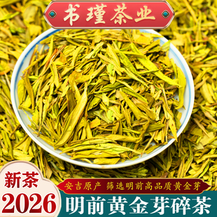 黄金芽碎茶片2026年新茶叶安吉明前头采高碎珍稀白茶500g散装绿茶