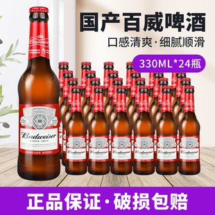 百威啤酒经典醇正啤酒精酿黄啤小麦熟啤酒330ml*24瓶整箱瓶铝罐装