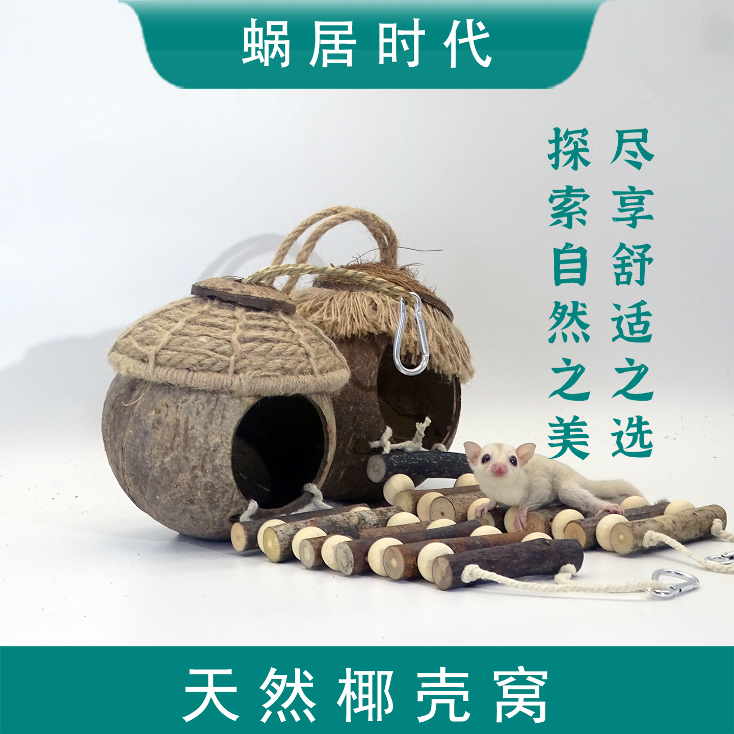 寄居蟹仓鼠爬宠鸟窝椰子壳躲避屋