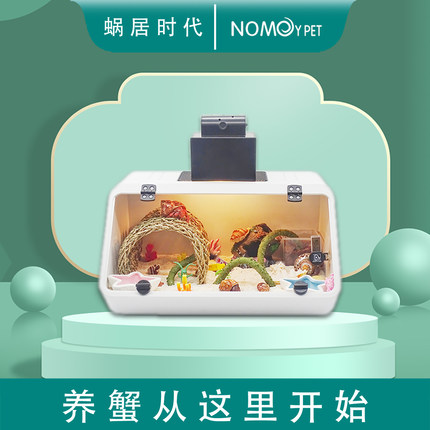 新手寄居蟹饲养套装爬宠造景展示缸乌龟缸活体宠物观赏蟹懒人宠物