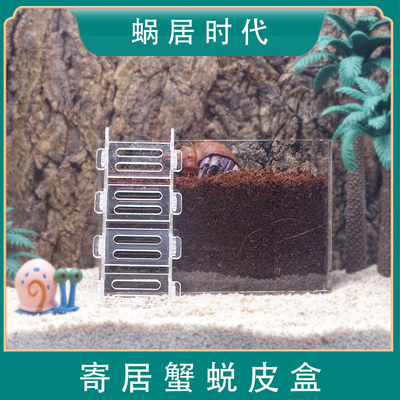 寄居蟹蜕皮隔离盒亚克力方形盒超白斗鱼缸椰土饲养盒