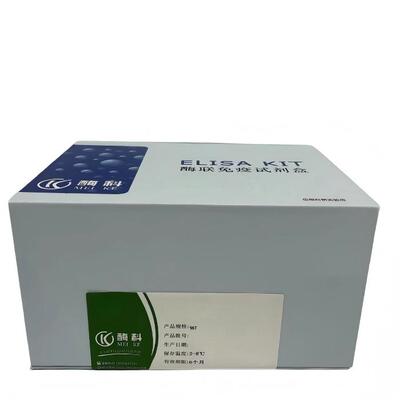 MK1758A 大鼠碱性磷酸酶(ALP)ELISA科研试剂盒 96T