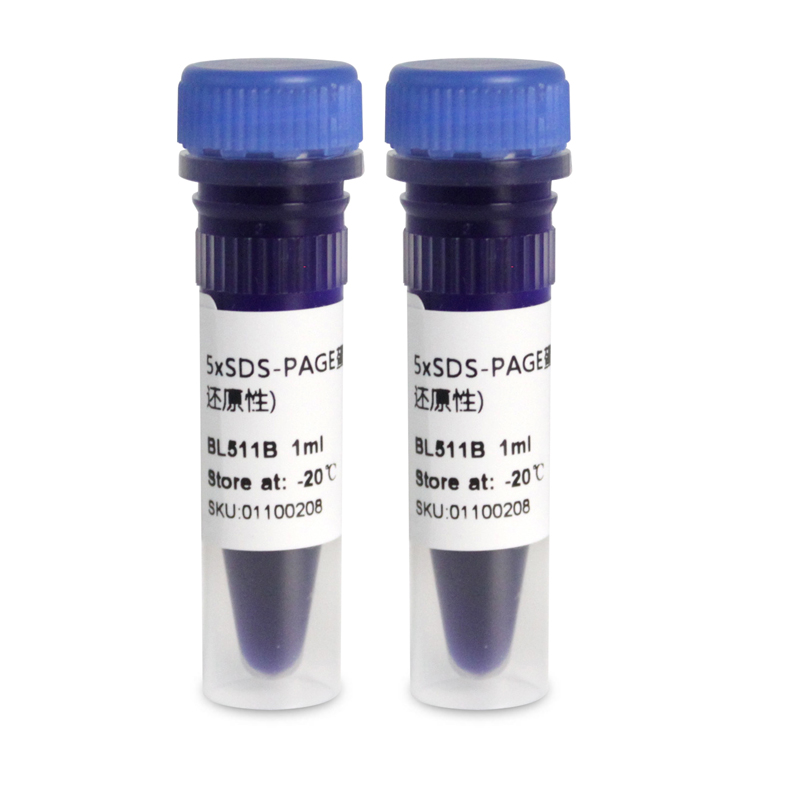 BL511B 5x SDS-PAGE蛋白上样缓冲液（变性非还原性）科研试剂白鲨