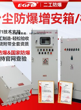 IIIC粉尘防爆箱面粉水泥厂粉尘防爆项目改造配电箱接线箱ExtdA21