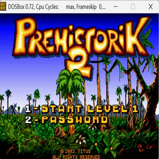 B动作射击类游戏 PC原人2 PC小游戏 标号 经典 DOS游戏合集300款