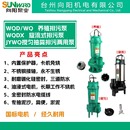 向阳污水泵化粪池小型排污泵220V家用抽水机抽粪泥浆380V潜水泵