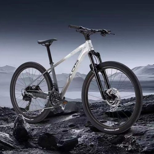 喜德盛26款传奇500山地车