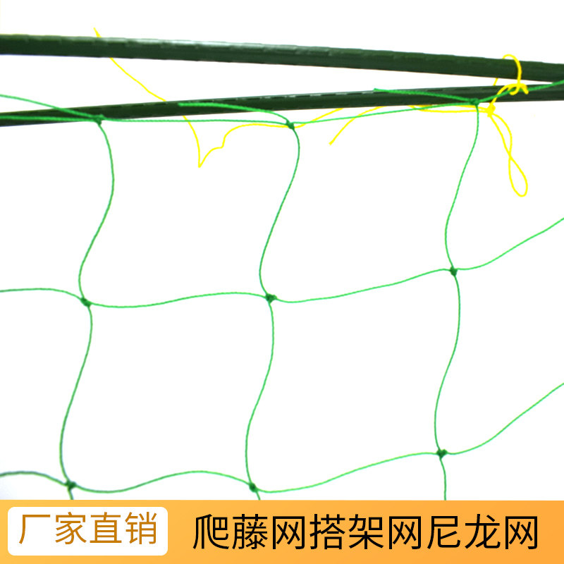 春园藤艺爬藤网黄瓜葡萄植物爬藤其它园艺用品