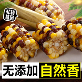 10棒 粘嫩彩糯玉米棒早餐真空装 大彩糯 露茵甜鲜花糯玉米