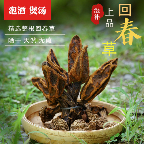 无硫野生回春草500g顶天柱草苁蓉硬劲草男性养滋补泡酒药材不老草 - 封面